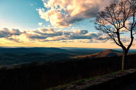 Late-day light over the Shenandoah Valley, with a lone bare tree framing rolling blue ridges and glowing clouds above Skyline Drive.