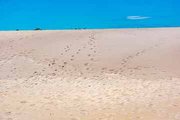 dunas em Florianópolis