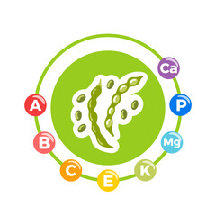 Green beans with vitamins and minerals highlighted, featuring slender pods, fresh green hues, and subtle nutrient icons, crafted as a clean vector illustration.