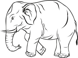  Hand drawn elephant outline illustration