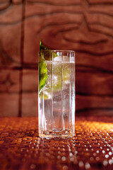 Refreshing Tall Glass Cocktail with Green Leaf Garnish © LiveSimple Stock