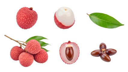 Fototapeta premium Vector illustration&nbsp;of lychee fruit and its parts on a white background