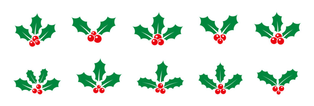 Christmas holly berries and leaves icon set vector illustration. collection of minimal mistletoe, holly berries in different styles best for merry invitations, greeting cards, PNG illustration.