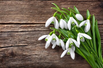 Fresh snowdrops bouquet on rustic wooden background