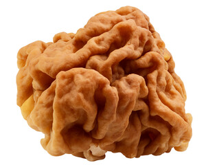 Gyromitra, Morel mushroom, isolated on white background, full depth of field