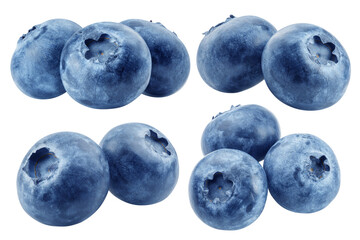 Blueberry isolated on white background, full depth of field