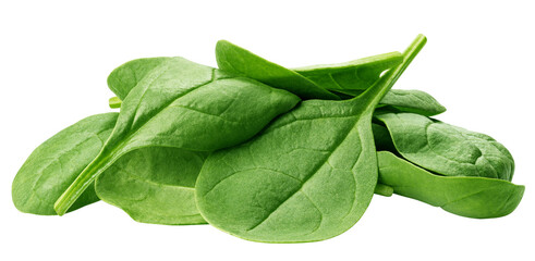 Spinach isolated, full depth of field