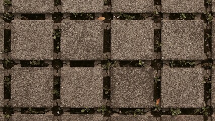 Square concrete paving stones texture background with weeds and dirt in gaps. Garden patio pavers, gray rough surface, natural outdoor floor pattern.