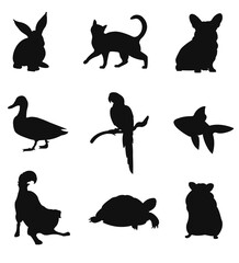  Minimal Pet Vector Set Cat, Rabbit, Parrot, Duck Silhouettes