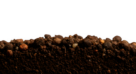 A close up macro shot of dried cranberries and raisins scattered on a transparent background isolated on transparent background