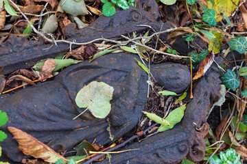 Naklejka premium Historic Statue on the autumn mystery old Prague Cemetery, Czech Republic