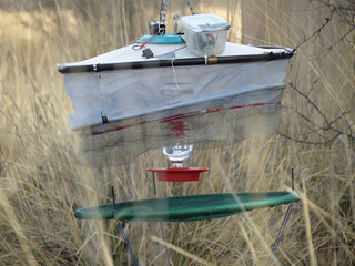 A hummingbird trap used by a ornithologist to capture, band and collect data on hummingbirds