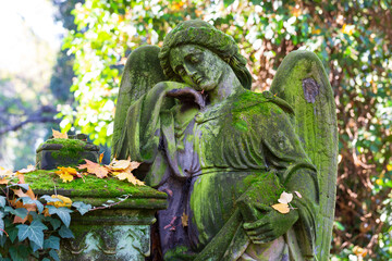 Obraz premium Historic Statue on the autumn mystery old Prague Cemetery, Czech Republic