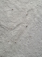 Tire tread mark on a concrete floor.