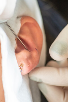 A piercer in a piercing parlor pierces an ear