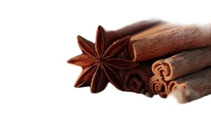 A close up of star anise and cinnamon sticks against a black background on the right side of frame