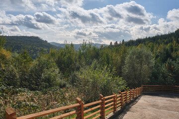 Scenic view of a lush green forest on rolling hills with a wooden fence and cloudy sky in autumn.