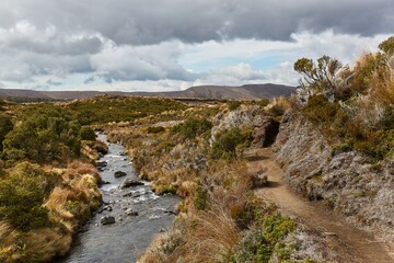 Hiking landscape in Tongariro National Park, New Zealand, mountain stream