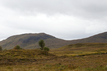 Misty landscape in the Scottish Highlands, Scotland