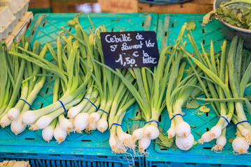 at a vegetable stand at the farmers market in Nice, France
