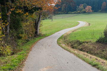A path in a park with trees and grass