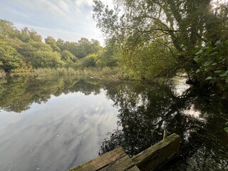 Beautiful landscape view of large broad lake in Norfolk East Anglia uk with image of sky clouds trees bushes reflected in tranquil water and wood jetty platform on nature reserve in Winter day light
