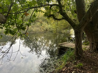 Beautiful landscape view of large broad lake in Norfolk East Anglia uk with image of sky clouds trees bushes reflected in tranquil water and wood jetty platform on nature reserve in Winter day light