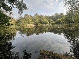 Beautiful landscape view of large broad lake in Norfolk East Anglia uk with image of sky clouds trees bushes reflected in tranquil water and wood jetty platform on nature reserve in Winter day light