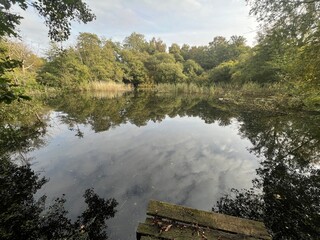 Beautiful landscape view of large broad lake in Norfolk East Anglia uk with image of sky clouds trees bushes reflected in tranquil water and wood jetty platform on nature reserve in Winter day light