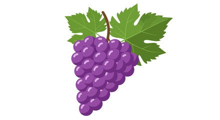 Fototapeta premium Isolated cartoon depiction of purple grapes with leaves, delicious fruit