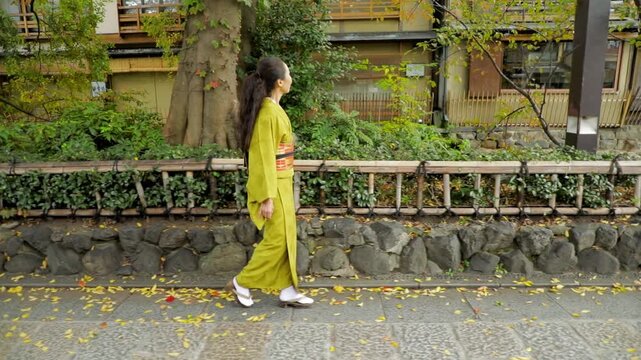 Elegant Japanese woman wearing a Kimono in Kyoto Japan.