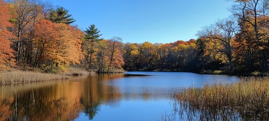 Autumnal lake nestled within vibrant foliage.  Tranquil scene of fall colors reflected in still water