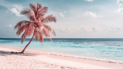 Obraz premium The pastel tones of a romantic summer landscape create a serene tropical paradise, complete with a sea coast under a clear sky and pink palm trees on warm, pink sand