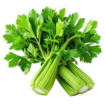 Fresh, vibrant green celery stalks with leafy tops, clipart, isolated on a transparent background.
