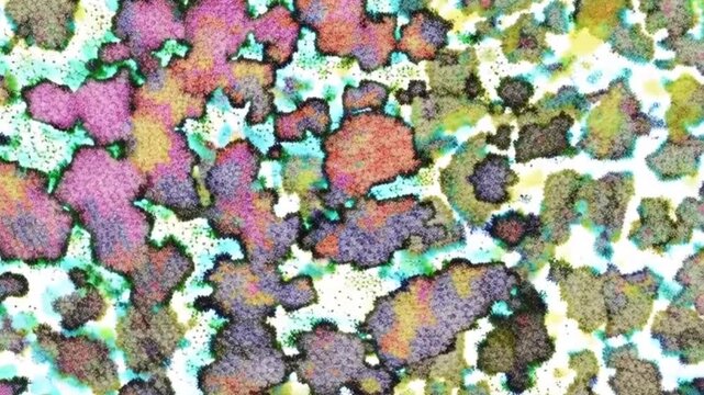 分裂し蔓延する病原菌ウィルスをイメージした動画