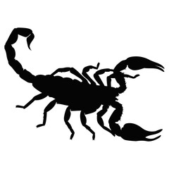 Black Scorpion Silhouette Illustration. Dangerous Insect Design