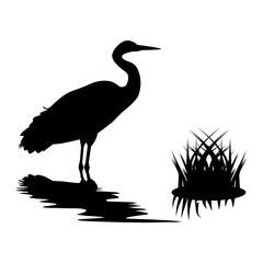 Silhouette of Heron Standing by Water with Grass. Wildlife Bird Illustration