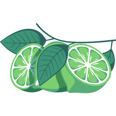 Fresh Green Limes With Leaves On A Branch Against A White Background