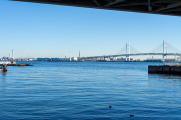The scenery of Yokohama in midwinter is clean and beautiful, but it feels somewhat lonely.