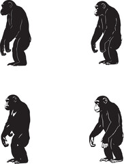Primate Evolution Silhouette Set – Human Ancestry Vector Illustrations in Progressive Poses on White Background