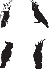 Cockatoo Silhouette Set – Parrot Vector Illustrations in Multiple Poses on White Background