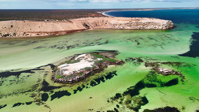 Aerial drone view of Eagle Bluff near Monkey Mia Western Australia with rugged cliffs and turquoise waters