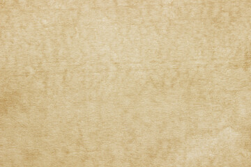 Old Paper texture. vintage paper background or texture; brown paper texture