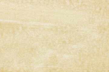 Old Paper texture. vintage paper background or texture; brown paper texture