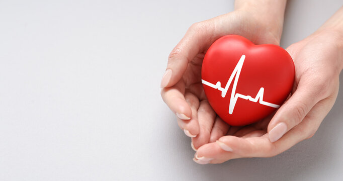 Cardiology. Woman holding red heart with pulse line on white background, closeup. Banner design with space for text