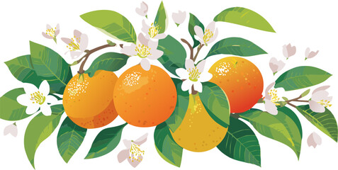 The Simple Joy of a Healthy Snack: Orange Vector Encouraging Parents and Educators to Provide Fresh Fruit as the Easiest and Most Nutritious Option for Children.