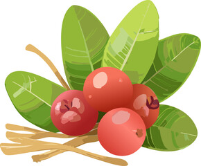 Focus on the Natural Beauty and Medicinal Value of Carissa Carandas, Encouraging Young Adults to Explore Diverse, Sustainable Plant-Based Resources for Holistic Wellness.