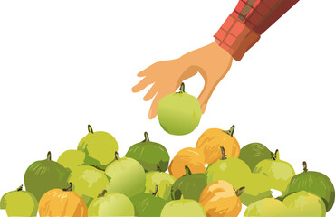 Close-up on the Moment of Choice: Selecting a Syzygium Samarangense, Highlighting the Power of the Consumer to Drive Demand for Sustainable and Organic Products.