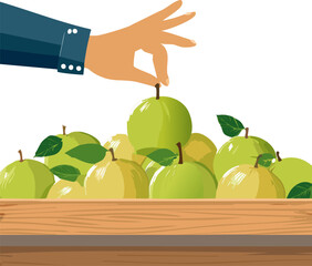 An Engaging Visual for Dietary Education: Using the Syzygium Samarangense Illustration to Discuss Food Groups and the Essential Role of Fruits in Human Metabolism.