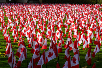 Small Canadian flags on the ground for November 11th Remembrance Day. Toronto, Canada.
